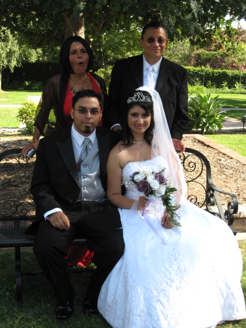 457x616 pixels (138K)